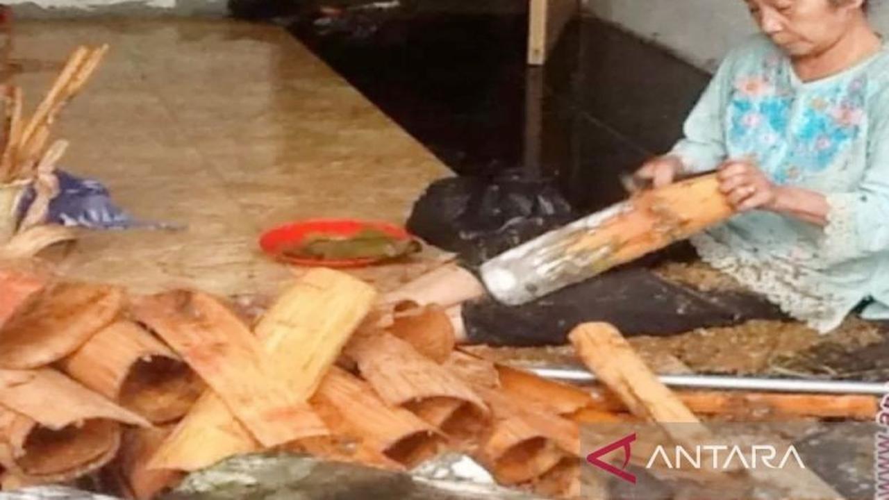 Kemenkum Kalsel Optimalkan Pengembangan Kayu Manis Loksado, Perkuat Identitas Geografis dan Perluasan Pasar