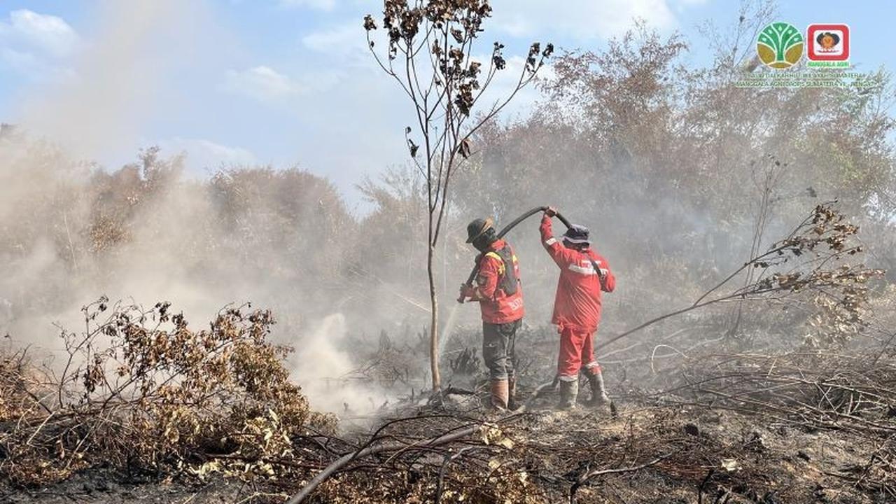 Manggala Agni Tangani Karhutla Riau Seluas 100 Hektare Lebih di Dua Kabupaten