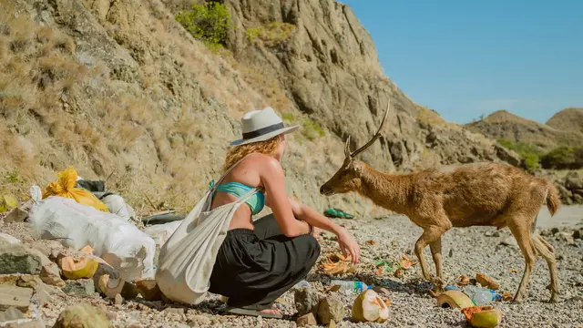 Taman Nasional Komodo