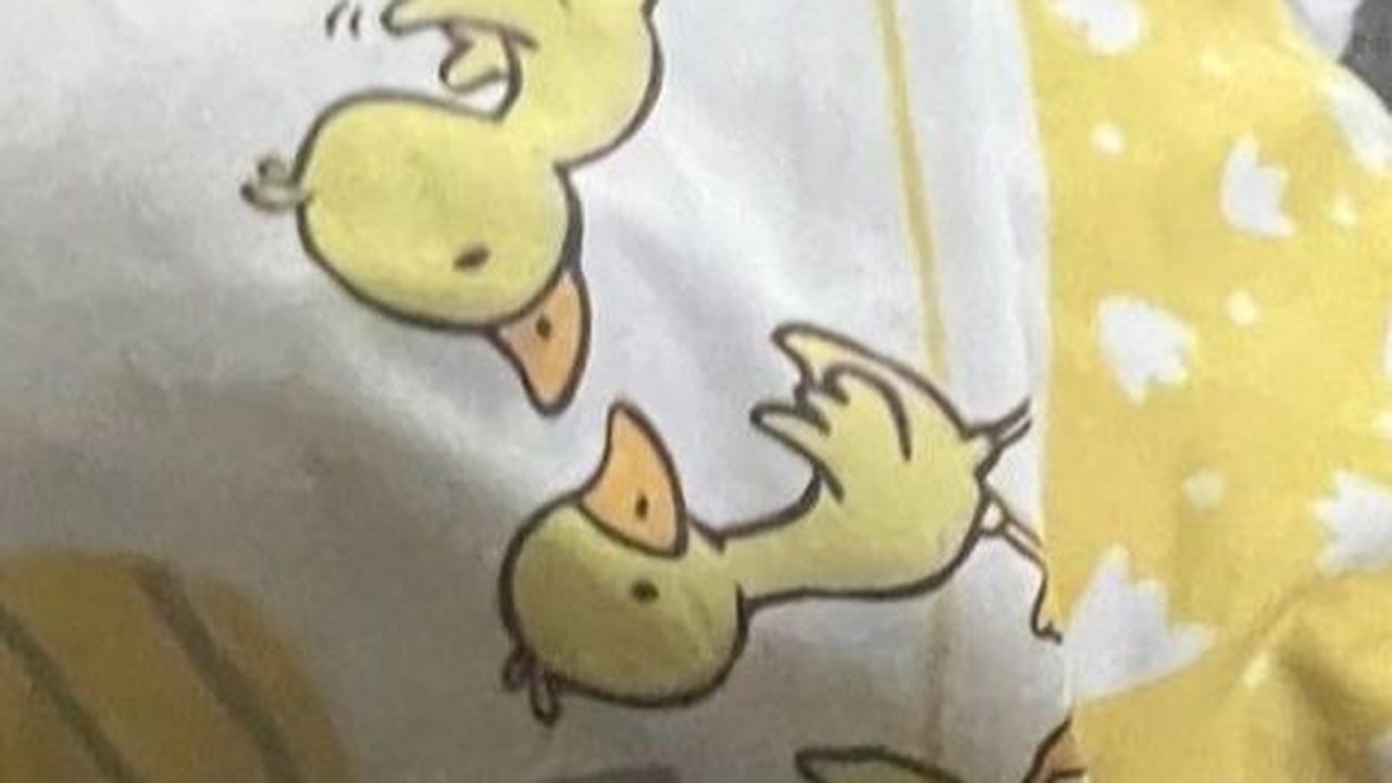 Wanita Ini Bagikan Cerita saat Bantal Kesayangannya Ketinggalan di Bus, Sudah Dipakai selama 33 Tahun
