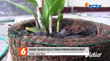 Kerajinan berbahan dasar serabut kelapa, Agung Cahyo Wibowo seorang desainer grafis warga Desa Kertosari, Kabupaten Madiun, Jawa Timur. Menyulap serabut kelapa menjadi pot cantik, tanaman hias.