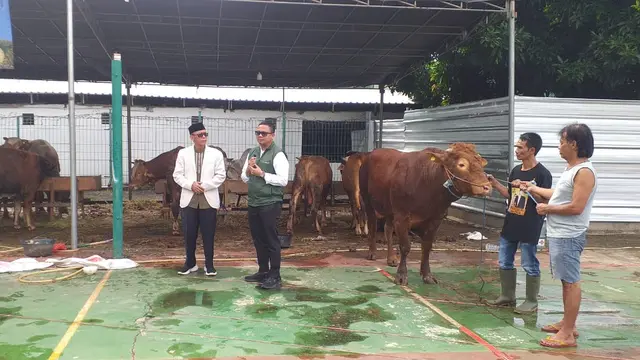 Wapres terpilih Gibran Rakabuming Raka menyumbang satu ekor sapi limosin ke panitia hewan qurban di Masjid Al-Azhar, Jakarta.