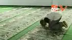 Ralat fatwa MUI terkait arah kiblat rupanya belum tersosialisasi dengan baik. Sebagian muslim di sejumlah daerah termasuk di Ponorogo, Jatim, masih menghadap ke barat bukan barat laut saat melaksanakan salat. 