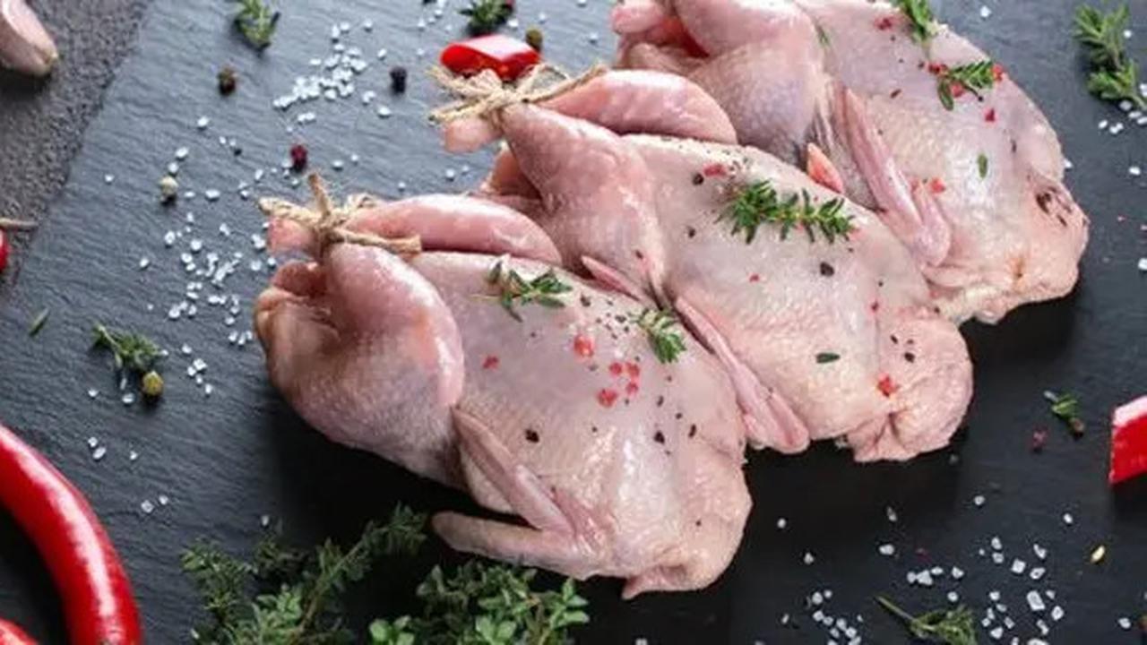 Cara Memasak Burung Puyuh Agar Empuk dan Lezat