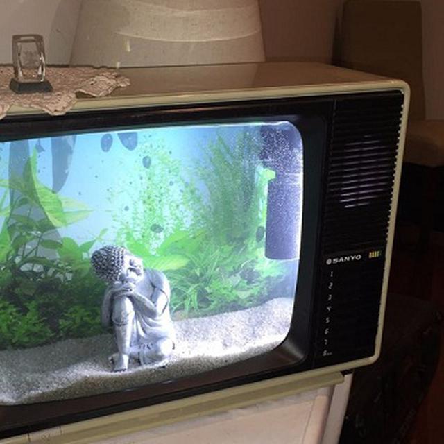 Cara Mudah Buat Akuarium Dari Televisi Bekas Lifestyle Liputan6 Com