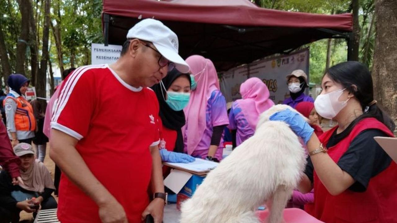 Anjing dan Kucing Rentan? BB Veteriner Maros Gelar Vaksinasi Rabies Gratis di Maros, Tekan Penularan Zoonosis!