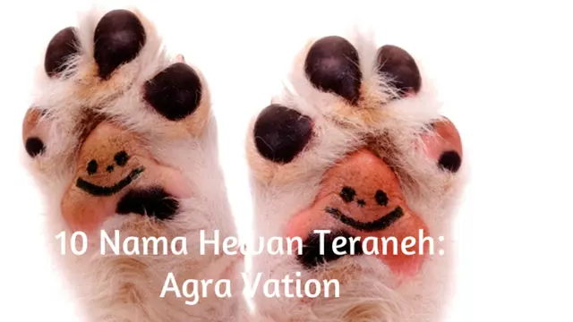 Foto: copyright ThinkStockPhotos.com