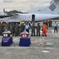 Upacara serah terima jenazah korban kecelakaan Trigana Air di Kompleks Bandara Sentani, Kabupaten Jayapura, Papua, Rabu (19/8). Sebanyak empat jenazah telah dievakuasi dari Bandara Oksibil ke Bandara Sentani di Jayapura. (AFP PHOTO/Indrayadi Thamrin)