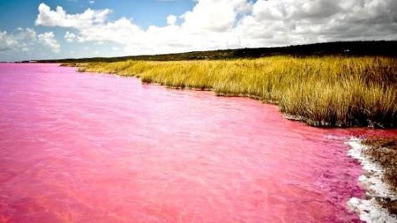 Lucunya! Air sungai ini berwarna pink