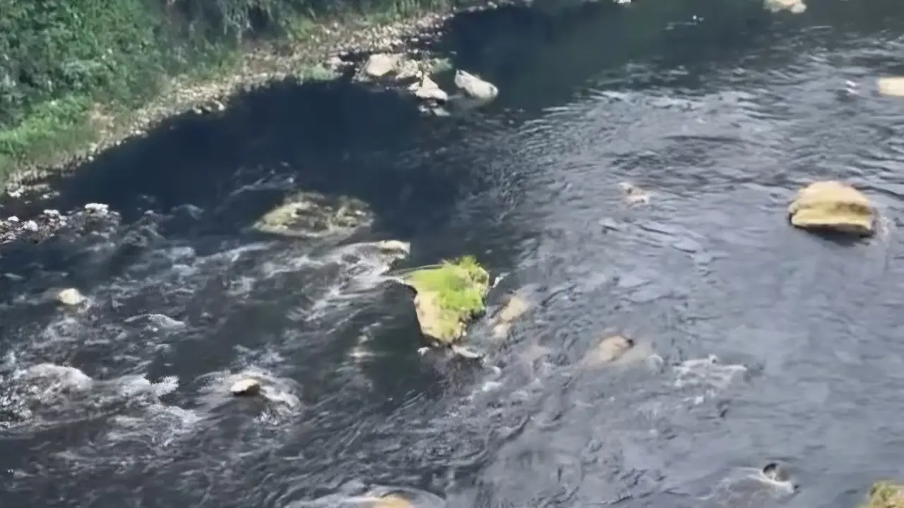 Sungai Cileungsi tercemar limbah