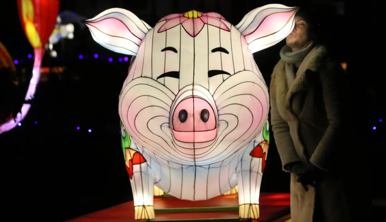 Pengunjung berpose dengan lentera babi yang dipamerkan dalam festival The Great Lanterns of China di Pakruojis Manor, Lithuania, Rabu (25/12/2019). Festival ini berlangsung hingga 6 Januari 2019. (Petras MALUKAS/AFP)