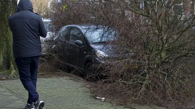 Sebuah pohon tumbang di atas sebuah mobil di Amsterdam, Belanda, pada 18 Januari 2018.