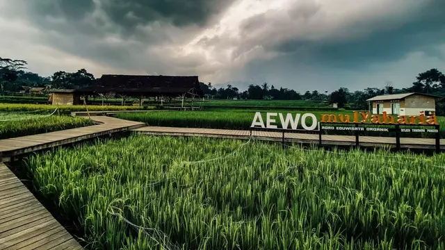 Agroeduwisata Organik Mulyaharja, Bogor, Jawa Barat