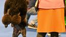 Seekor pudel raksasa berwarna cokelat berdiri dengan dua kakinya dalam European Dog Show 2021 di Budapest, Hungaria, 28 Desember 2021. European Dog Show 2021 berlangsung pada 28-31 Desember. (ATTILA KISBENEDEK/AFP)