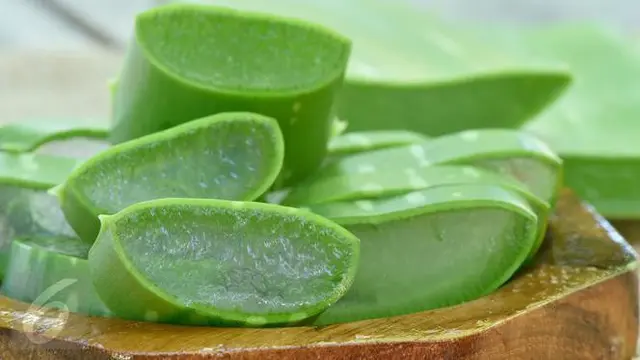 3 Manfaat Menakjubkan Konsumsi Jus Lidah Buaya yang Belum Diketah