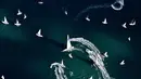 Perahu berlayar selama perlombaan Barcolana Regatta ke-49 di Teluk Trieste, (8/10). Perlombaan layar terbesar di dunia ini diikuti 2072 peserta. (AFP PHOTO / Alberto Pizzoli)