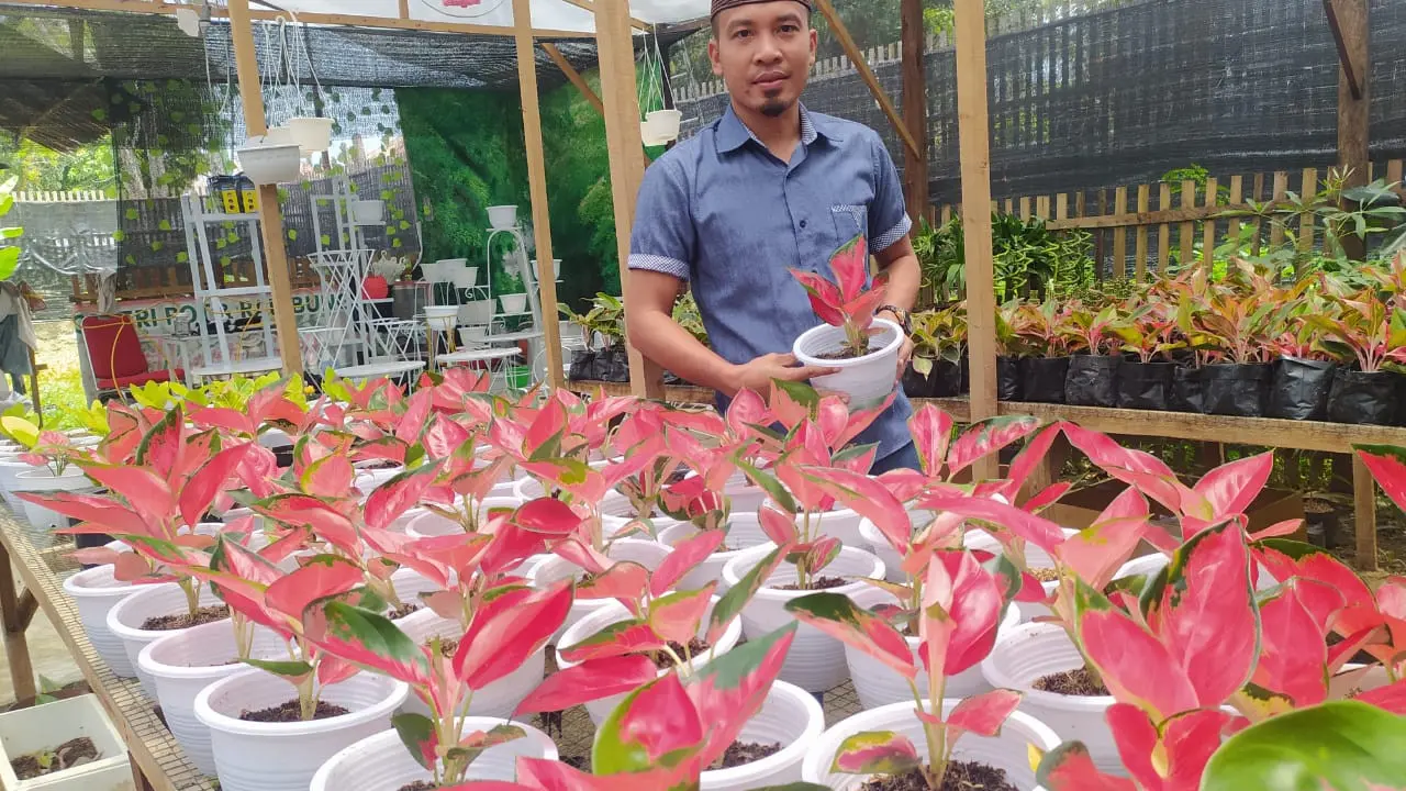 Usaha tanaman hias di Gorontalo yang melejit meski dalam terpaan pandemi Covid-19. (Foto:Liputan6.com/Arfandi Ibrahim)