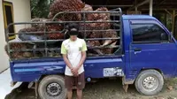 Warga Suku Anak Dalam Jadi Tumbal Aksi Pencurian Sawit