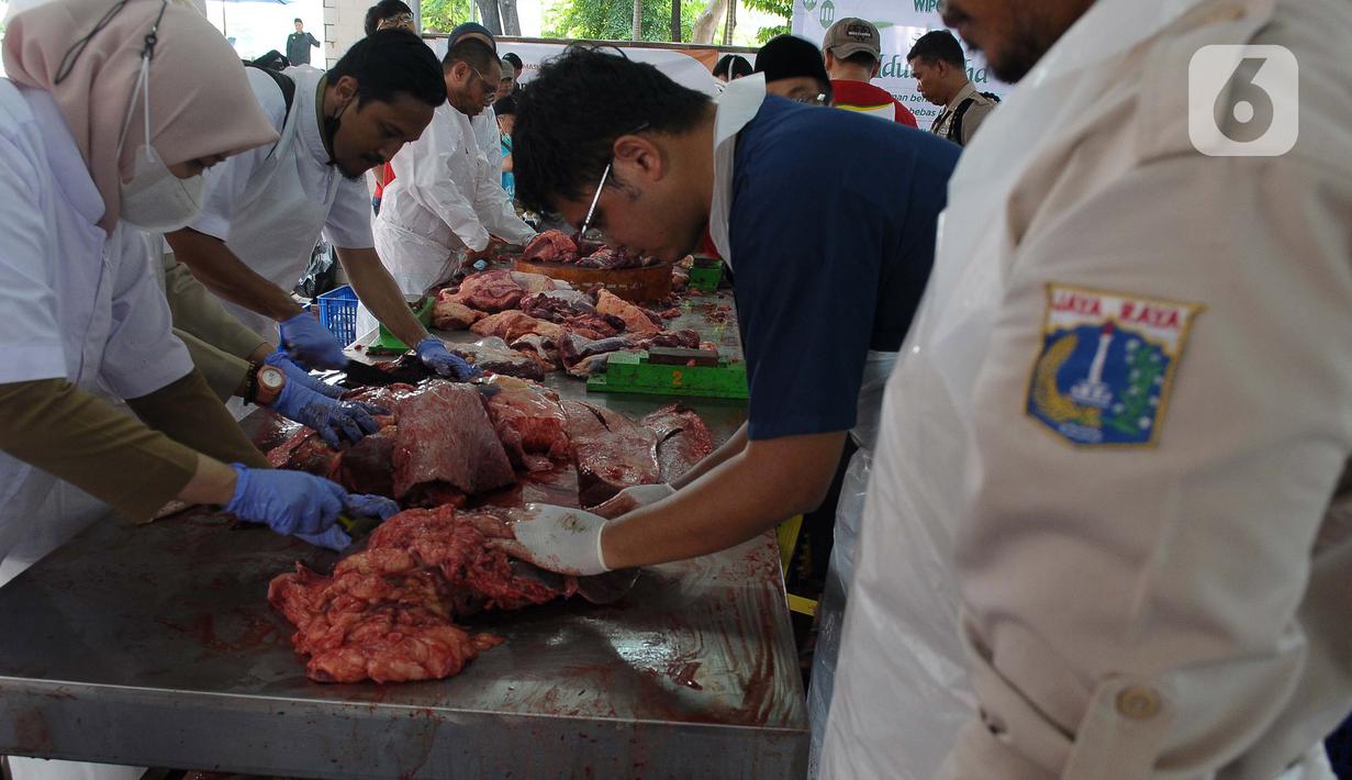 Pemeriksaan kesehatan hewan kurban yang dipotong terutama pada bagian dalam, seperti paru, hati, dan limpa. (merdeka.com/Imam Buhori)