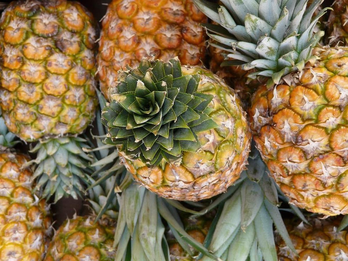 2. Mengurangi Nyeri Haid