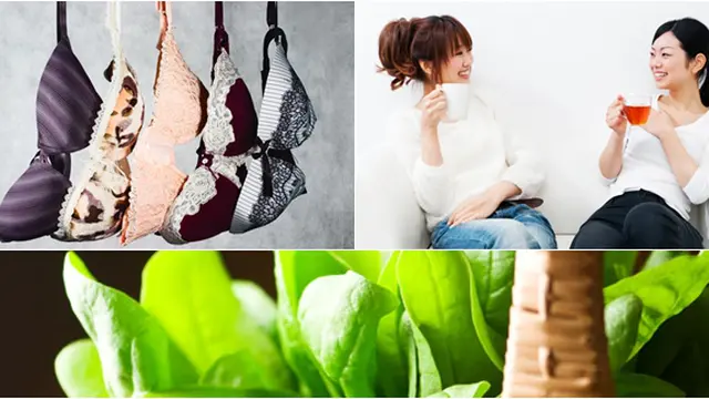 Courtesy ShutterStock.com