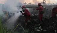 Update Penanganan Kebakaran Hutan di Kalimantan hingga Sumatera