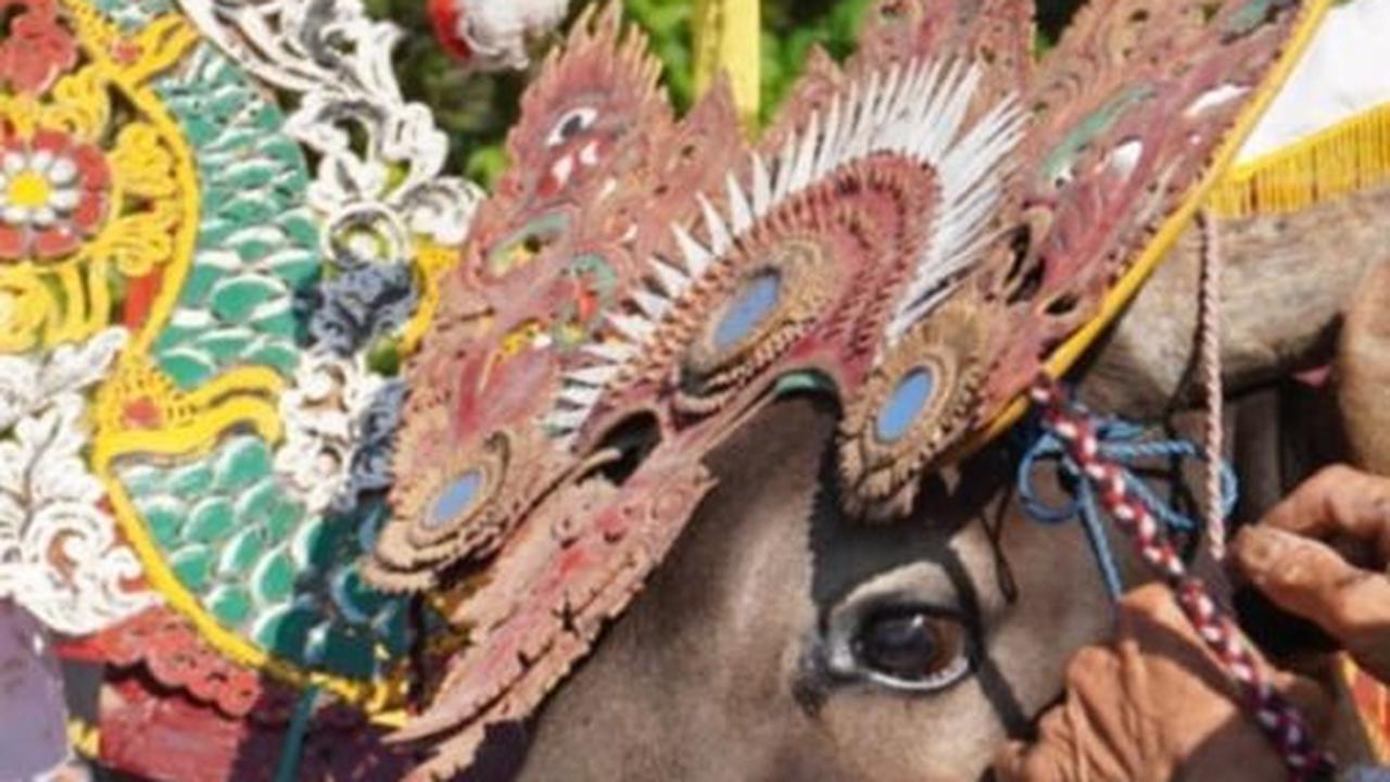 Upaya Buleleng Manjakan Wisatawan Agar Betah Berlibur di Wilayahnya