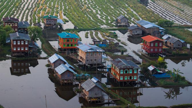 Rumah-rumah panggung berjajar di antara perkebunan sayur yang berada di kampung terapung Danau Inle, Negara Bagian Shan, Myanmar, Senin (18/2). Danau ini menjadi sumber kehidupan bagi suku Intha yang mendiami perairan Inle. (Ye Aung THU/AFP)