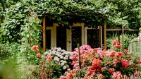Jenis Bunga Apa yang Cocok Ditanam di Depan Rumah? Ini 10 Bunga yang Cantik & Mudah Dirawat