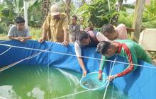 Diskan Kotim Salurkan 100 Ribu Bibit Ikan, Perkuat Pengembangan Budi Daya dan Ketahanan Pangan