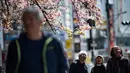 Warga melihat pohon sakura sakura di taman Ueno, Tokyo, Jepang (12/3/2020). Di tengah kekhawatiran akan penyebaran virus corona COVID-19, Ahli meteorologi memprediksi bunga sakura mulai mekar sekitar 17 Maret di Tokyo.  (AFP/Philip Fong)