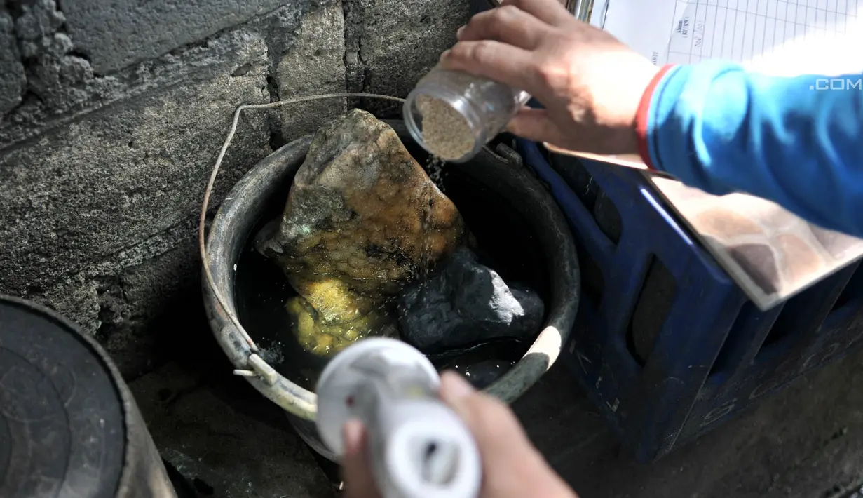 Petugas mencampurkan obat pembunuh jentik nyamuk (abate) dalam penampungan air salah satu warga saat melakukan pemantauan jentik nyamuk Aedes Aegypti di kawasan Duren Sawit, Jakarta, Rabu (27/2). (Merdeka.com/Iqbal S. Nugroho)