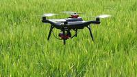 foto ilustrasi penggunaan drone untuk pertanian gandum barley di Inggris - AP