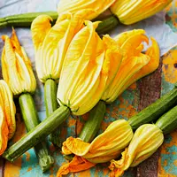 ilustrasi bunga/copyright by Shutterstock