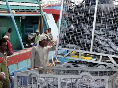 Pekerja saat menurunkan ikan di Pelabuhan Muara Baru, Jakarta, Minggu (11/1/2015). Jakarta, Minggu (11/1/2015). (Liputan6.com/Faizal Fanani)