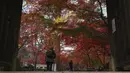 Orang-orang yang mengenakan masker mengunjungi kuil Buddha Joshinji sambil mengamati warna dedaunan musim gugur di Tokyo, Jepang pada 9 Desember 2020. (AP Photo/Kiichiro Sato)