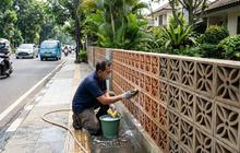 10 Cara Merawat Pagar Roster di Pinggir Jalan agar Tidak Mudah Berdebu dan Tetap Bersih