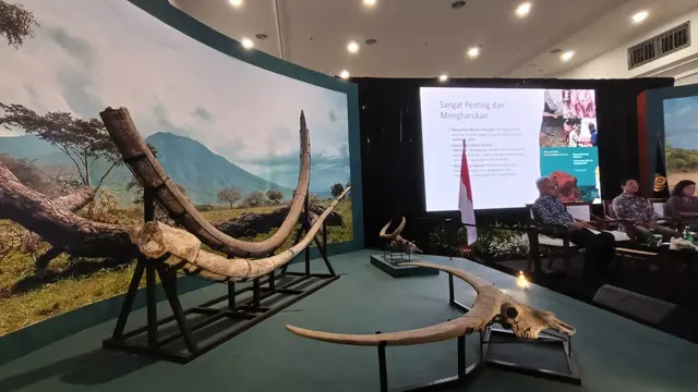 Menanti Kepulangan The Java Man dan Ribuan Fosil Koleksi Dubois dari Belanda, Bukti Peradaban Panjang Indonesia