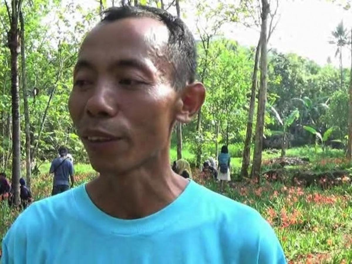 Ini kebun bunga Amarilis di Yogyakarta yang membuat heboh netizen