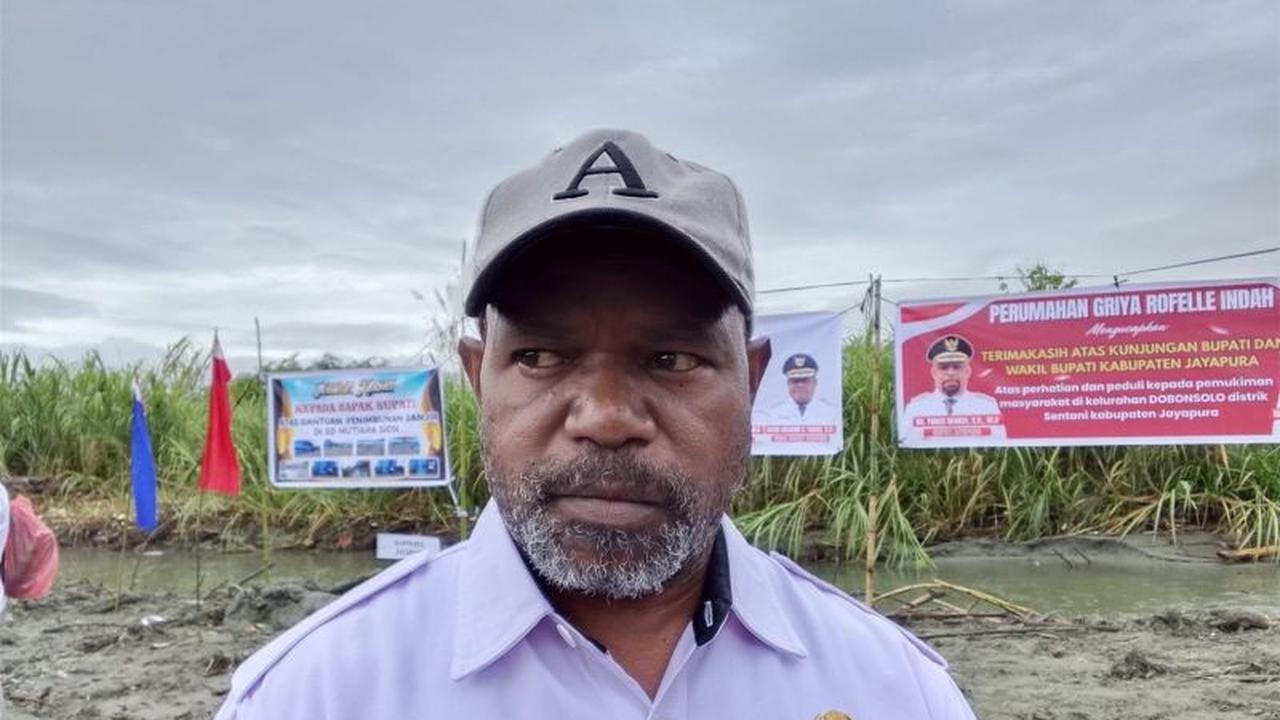 DLH Jayapura Segera Lakukan Pemangkasan Pohon Sentani untuk Keindahan dan Keselamatan