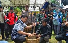 Fakta Unik: Mangga Istana Kesukaan Presiden! Gubernur Minta Festival Mangga Pemalang Jadi Agenda Tahunan