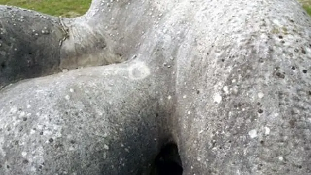 [VIDEO] Fenomena Unik Trovant, Batu `Bernyawa` dari Rumania