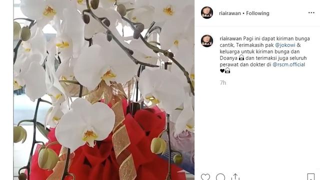 Ria Irawan (Foto: Instagram/@riairawan)