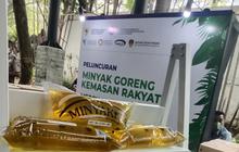 Stok Minyak Goreng Aman, Ternyata Ini Penyebab Kenaikan Harga di Pasaran