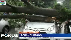 Meski tak ada korban jiwa maupun luka, namun dua dari empat penumpang mobil mengalami trauma hingga harus ditangani petugas medis yang datang ke lokasi.