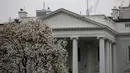 Foto yang diabadikan pada 11 Maret 2020 ini menunjukkan Gedung Putih di Washington DC, Amerika Serikat. Sejumlah bangunan ikonis (landmark) di Washington DC, termasuk Gedung Putih, terpaksa ditutup sementara untuk umum akibat wabah COVID-19 yang tengah merebak di negara itu. (Xinhua/Ting Shen)