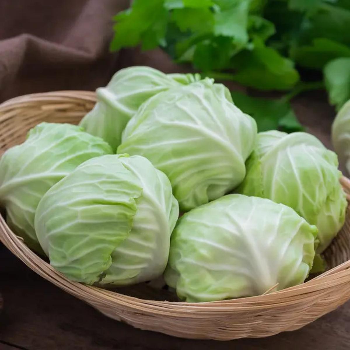 Trik Menggulung Kubis untuk Siomay, Rapi seperti Pedagang Keliling