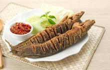7 Manfaat Ikan Lele untuk Anak, Kaya Gizi dan Harga Terjangkau
