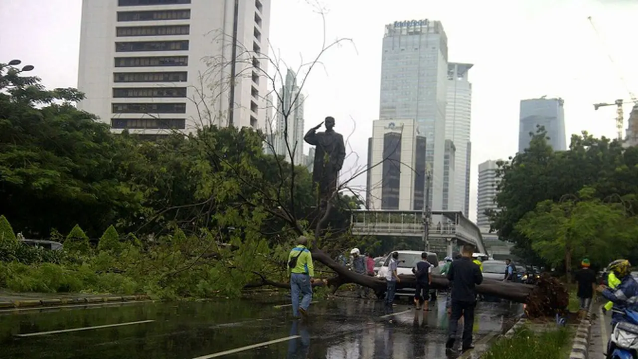Pohon Tumbang di Jalan Sudirman
