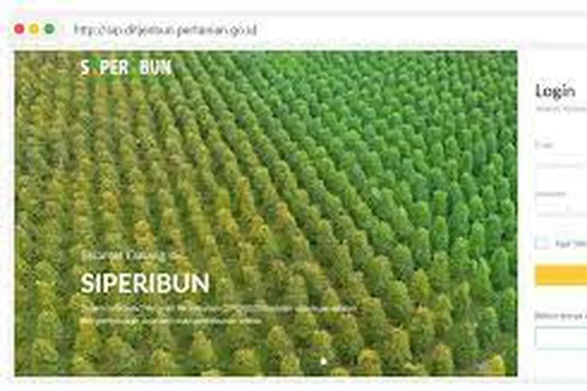 Siperibun
